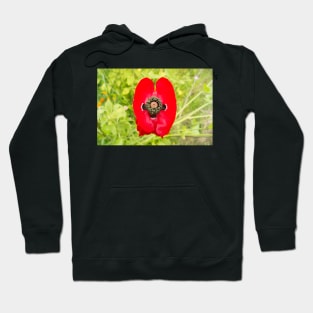 blb red poppy Hoodie